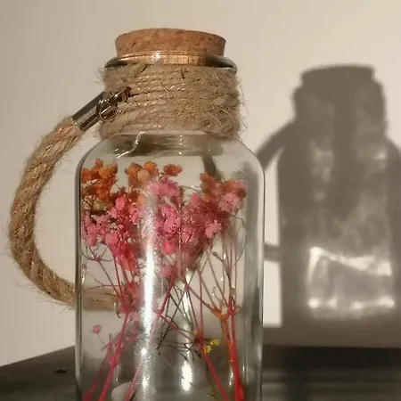 Bersimi Lazaridis דירה עיר רודוס